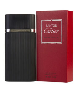 Cartier Declaration Santos EDT 100 ml for Men